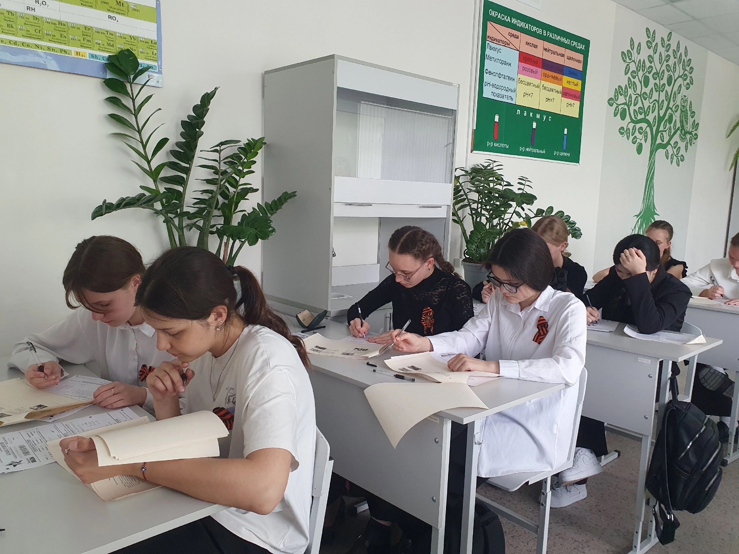 Наши старшеклассники написали Диктант Победы!.